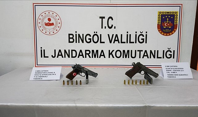 Bingöl'de ruhsatsız silah operasyonu