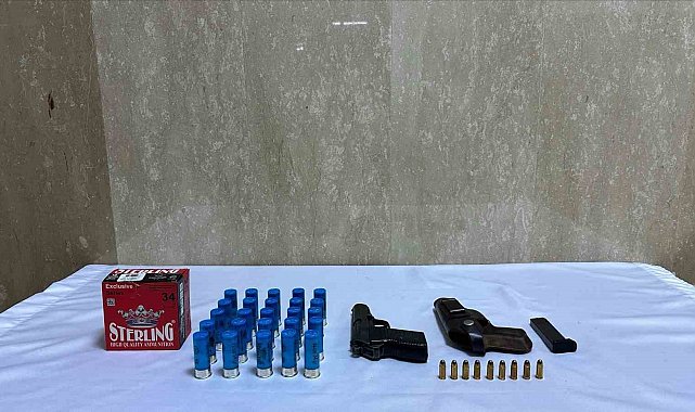 Bingöl'de tabanca ve fişek ele geçirildi