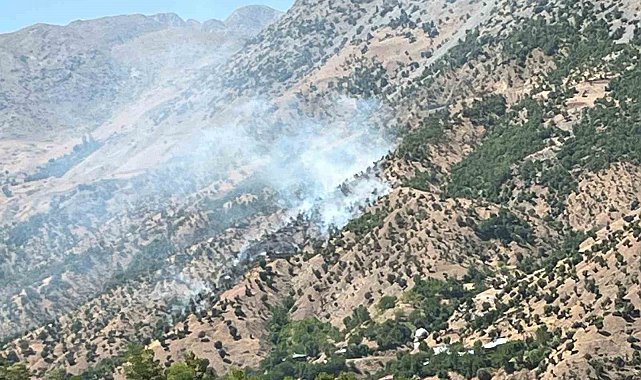 Bingöl'deki orman ve arazi yangınları söndürüldü