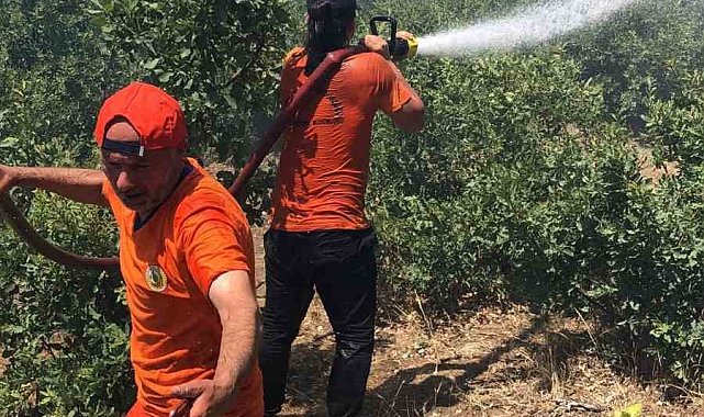 Bingöl'deki orman yangını kontrol altına alındı