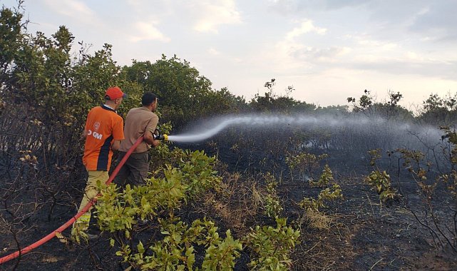 Bingöl'deki orman yangını kontrol altına alındı