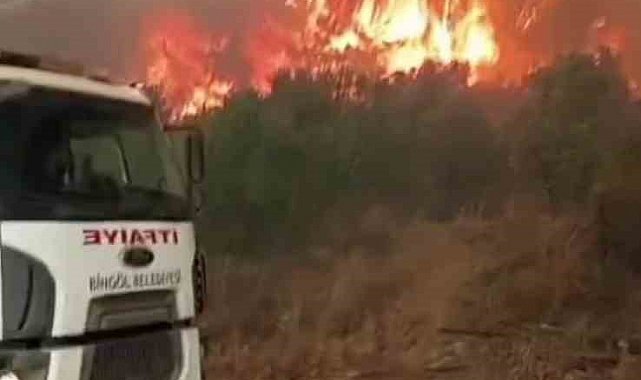 Bingöl'den Hatay'a destek