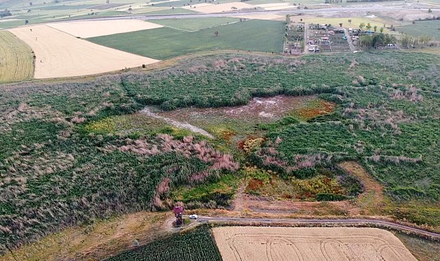 Binlerce kuşa ev sahipliği yapan sulak alan tamamen kurudu