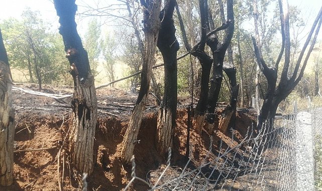 Bir kıvılcımla yangını başlattı, alevlerin büyüdüğünü görünce kaçtı