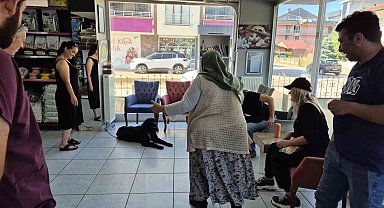 Bir yıl sonra "çip" sayesinde kavuştular