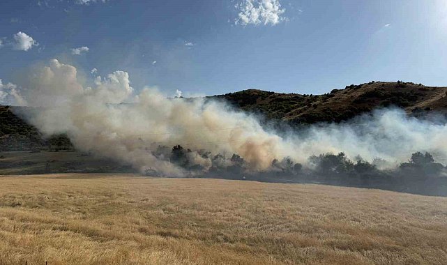 Bitlis'te buğday tarlasında çıkan yangın büyümeden söndürüldü