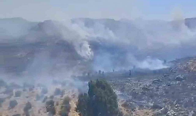 Bodrum'da otluk alanda çıkan yangın kısa sürede kontrol altına alındı