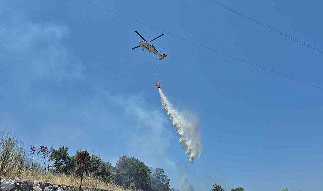 Bodrum'daki yangın büyümeden söndürüldü