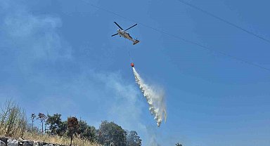 Bodrum'daki yangın büyümeden söndürüldü