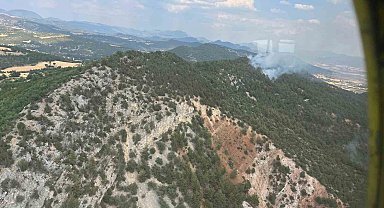 Bolu'da çıkan orman yangını büyümeden kontrol altına alındı