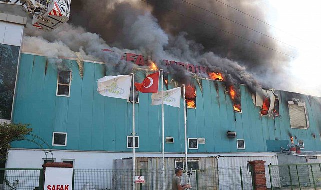 Bolu'da medikal fabrikasında yangın çıktı