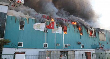 Bolu'da medikal fabrikasında yangın çıktı