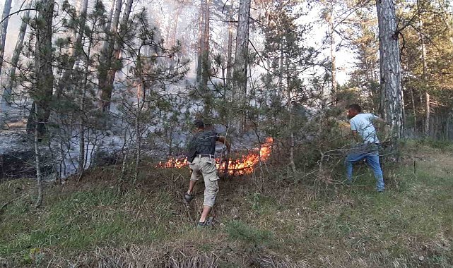 Bolu'da orman yangını başladı
