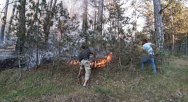Bolu'da orman yangını başladı