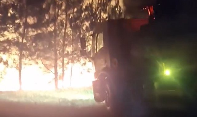 Bolu'da örtü yangını ormana sıçramadan söndürüldü