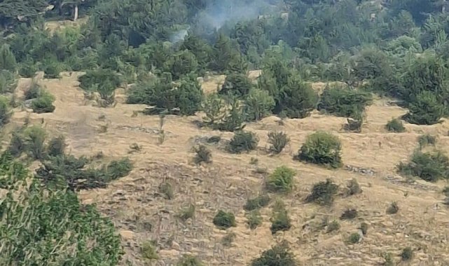 Bolu'da yıldırım kaynaklı çıkan yangınlar söndürüldü