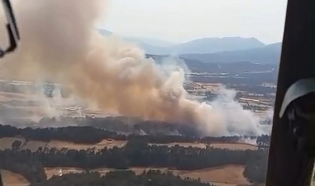 Bolu'daki orman yangını kontrol altına alındı: Soğutma çalışmaları sürüyor