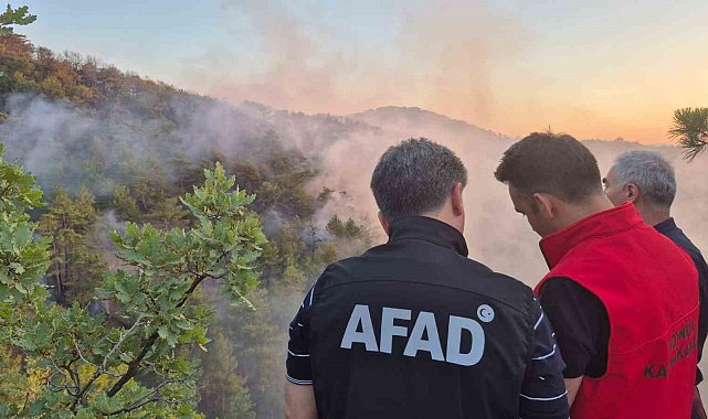 Bolu'daki orman yangını kontrol altına alındı