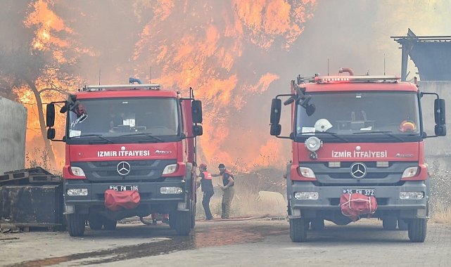 Bornova'da orman yangınını söndürme çalışmaları devam ediyor