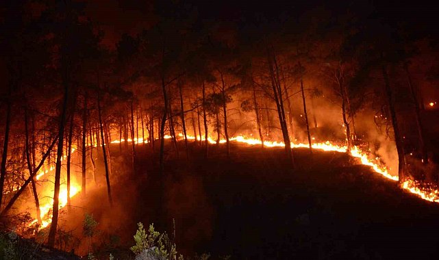 Bozbey'den seferberlik çağrısı: "Gelin beraber temizleyelim"