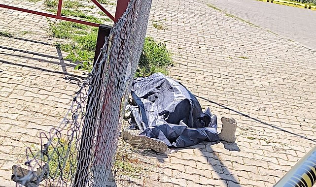 Bozdoğan'da şüpheli ölüm