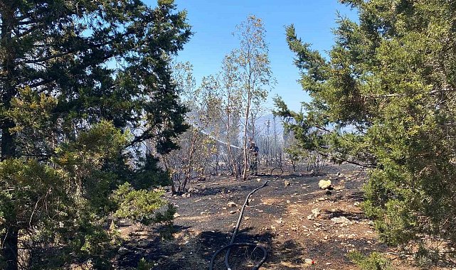 Buca'daki orman yangını kontrol altına alındı