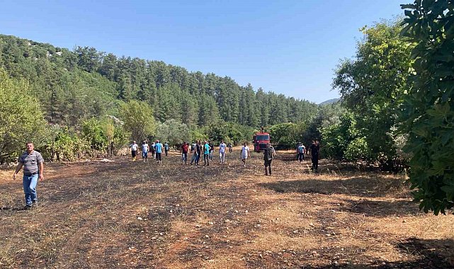 Bucak'ta çıkan arazi yangınında 1 dönüm alan yandı