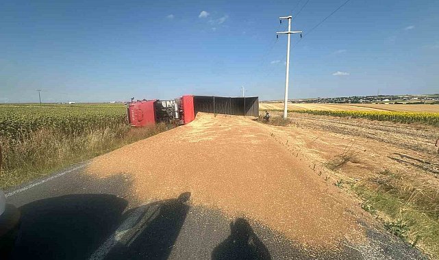 Buğday yüklü kamyon devrildi, sürücü yaralandı