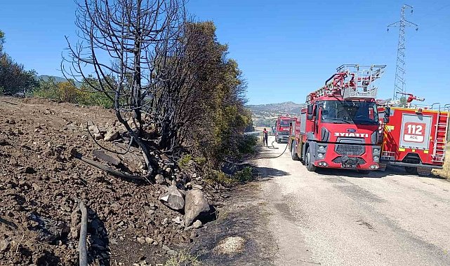 Burdur'da ceviz bahçesi ve 5 dönüm tarım arazisi yandı