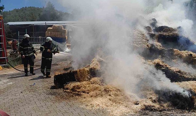 Burdur'da çıkan yangında 250 saman balyası kül oldu