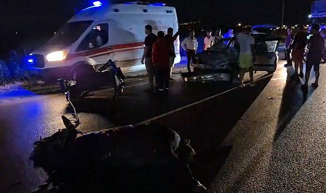 Burhaniye'de otomobil ters yönde gelen at arabasına çarptı: 2 yaralı