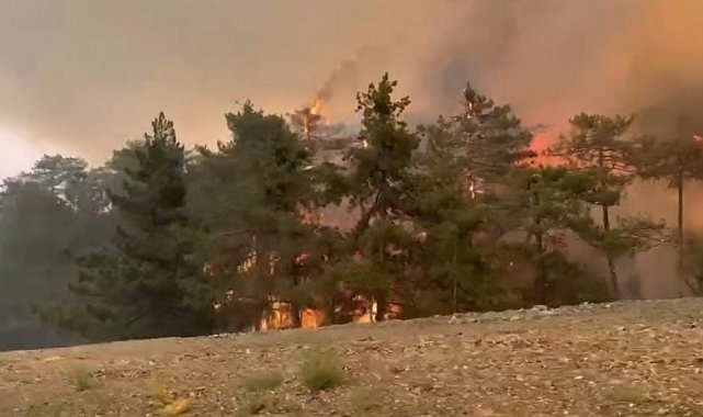 Bursa'da 5 köyün tahliye edildiği yangın büyüyerek sürüyor