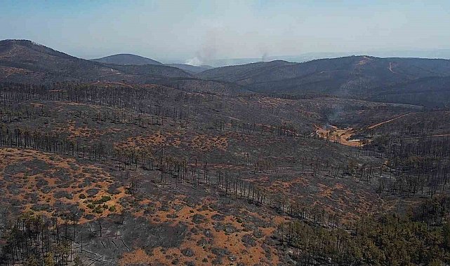 Bursa'da acı tablo: Harmancık'ta yanan yerler havadan görüntülendi