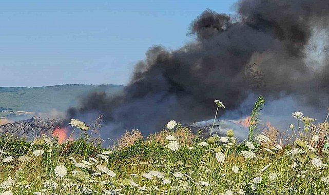 Bursa'da çiftlikte çıkan yangın 3 yere sıçradı
