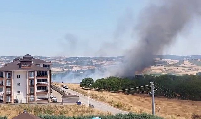 Bursa'da korkutan anız yangını