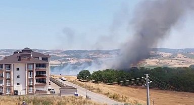 Bursa'da korkutan anız yangını