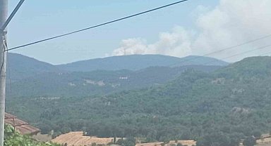 Bursa'da orman yangını: Havadan ve karadan müdahale ediliyor