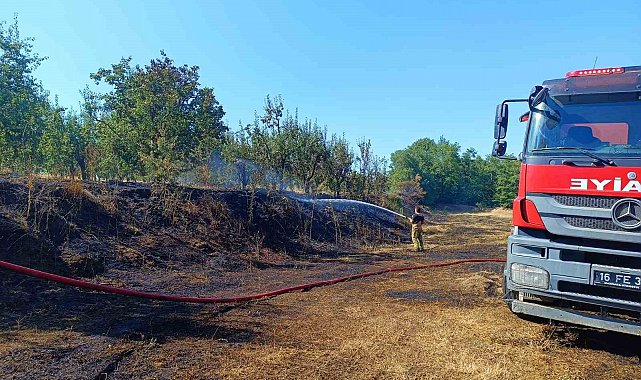 Bursa'da orman yangını