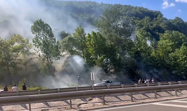 Bursa'da ormanlık alanda çıkan yangına müdahale sürüyor