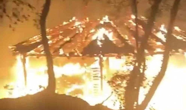 Bursa'da piknikçilerin söndürmeden bıraktığı ateş ormanı küle çeviriyordu