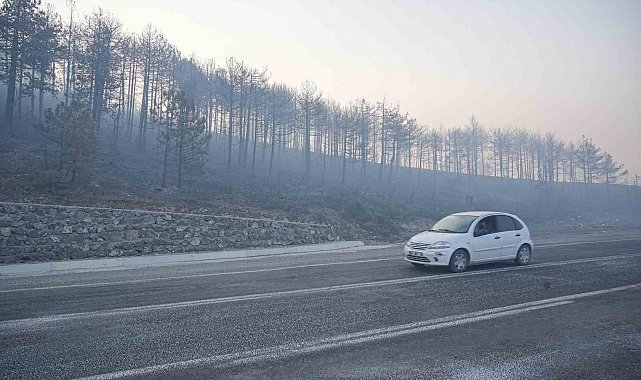 Bursa'daki orman yangını 3. gününde... Gökyüzünü kaplayan duman bulutundan göz gözü görmüyor