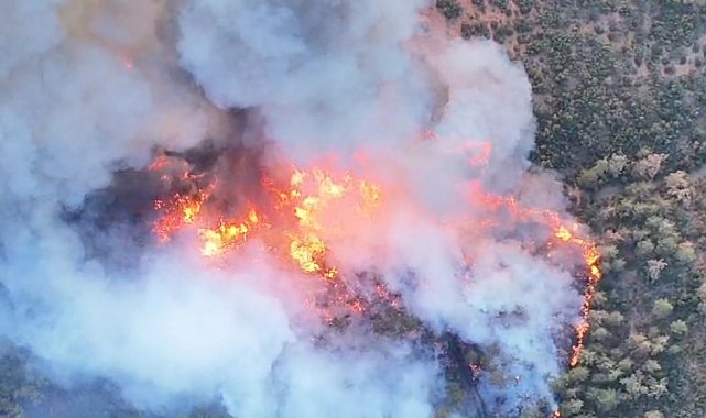Bursa'daki orman yangınları büyüyor