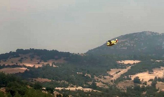 Bursa'daki orman yangınlarına havadan yoğun müdahale