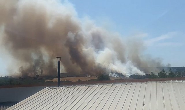 Bursa'daki yangın kontrol altına alındı