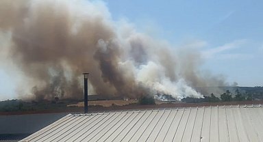 Bursa'daki yangın kontrol altına alındı