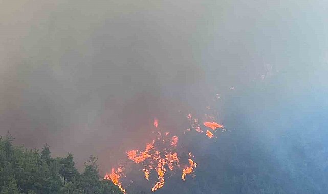 Bursa'nın ciğerleri yanıyor