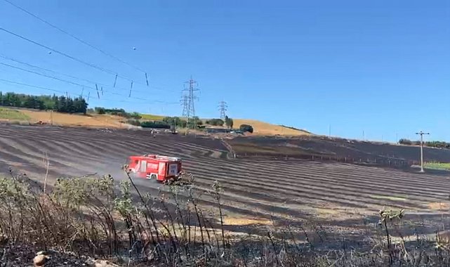 Büyükçekmece'de tarlada yangın: Alevler evlere sıçramadan söndürüldü