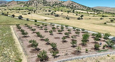 Büyükşehir Belediyesi'nden çiftçilere büyük destek