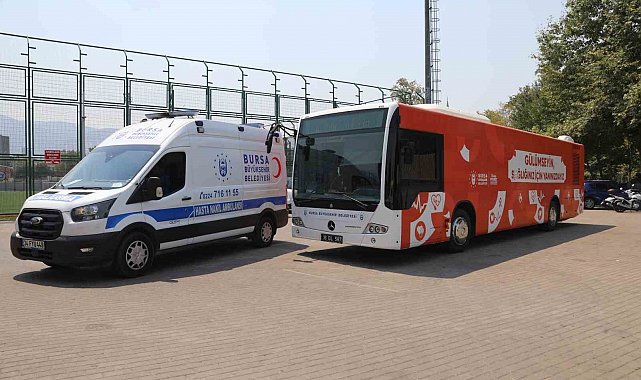 Büyükşehir, yangın bölgesindeki yaraları sarmaya başlıyor