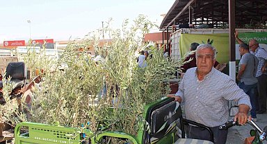 Büyükşehir'den 19 ilçeye 40 bin zeytin fidanı desteği